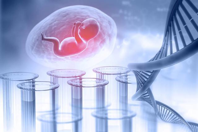 泰國三代試管嬰兒